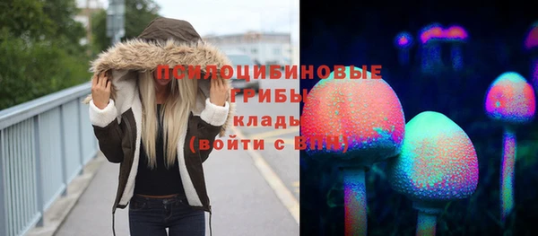 эйфоретик Аркадак