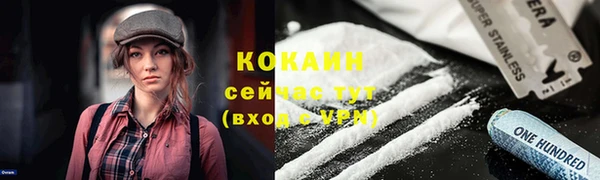 прущие грибы Арсеньев